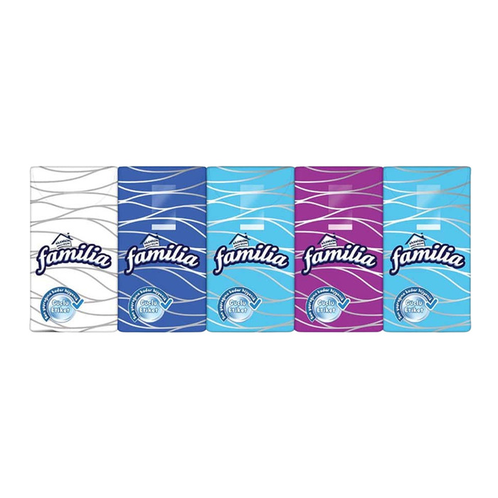 FAMİLİA CEP MENDİLİ 10 ADET